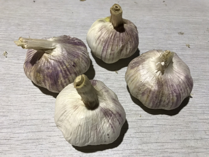 21年新货【紫皮大蒜】鲜蒜精品蒜瓣独头蒜物美价廉促销中