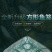 自动折叠捕鱼笼虾笼手抛网渔网捕鱼网黄鳝泥鳅螃蟹笼抓鱼