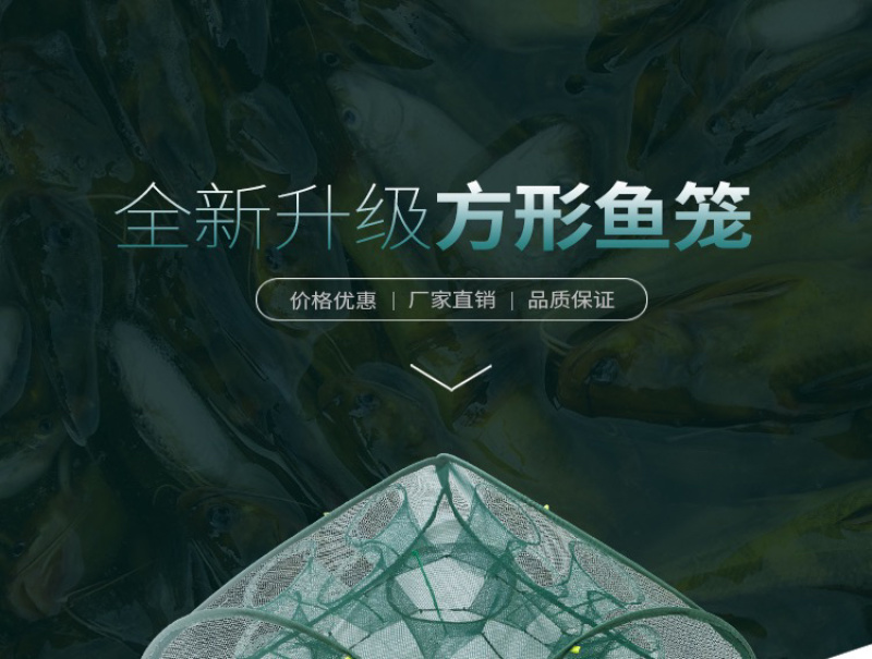 自动折叠捕鱼笼虾笼手抛网渔网捕鱼网黄鳝泥鳅螃蟹笼抓鱼