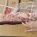 冻猪产品母猪去皮三线精五花肉