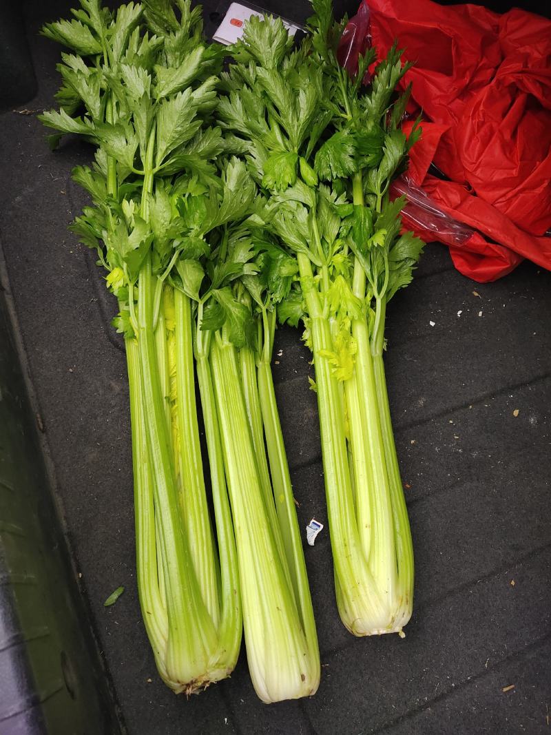 精品大西芹，有意者联系