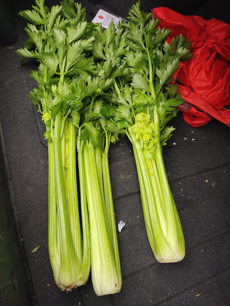 精品大西芹，有意者联系