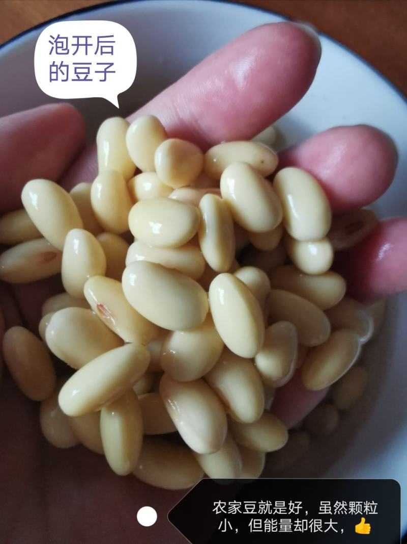 2020新豆，蛋白48，水分11产地直供支持线上保障交易