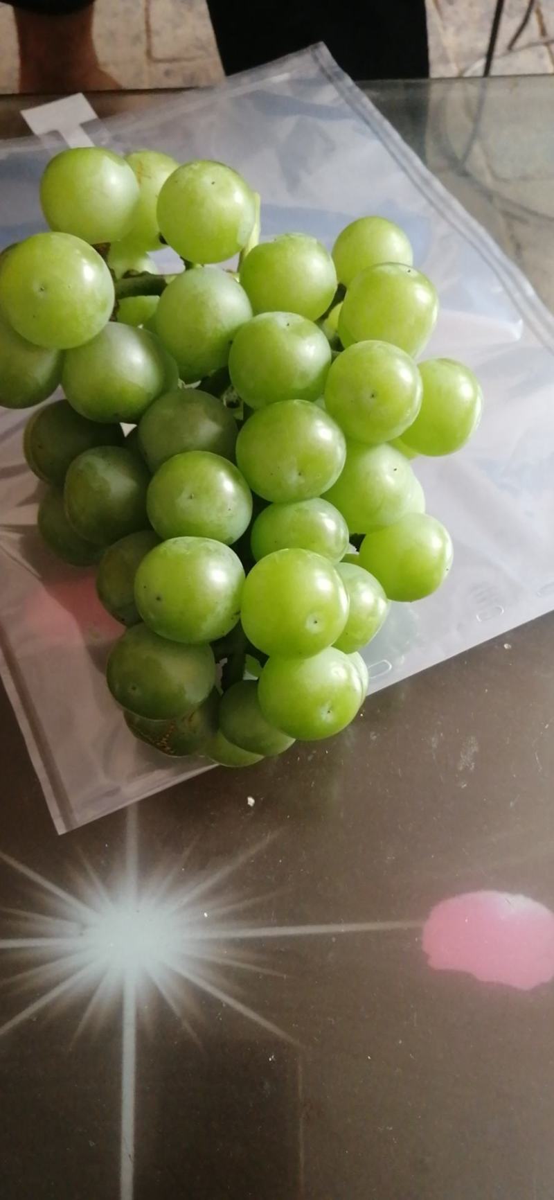 加工厂葡萄，大量上市，上货快，8611加工厂