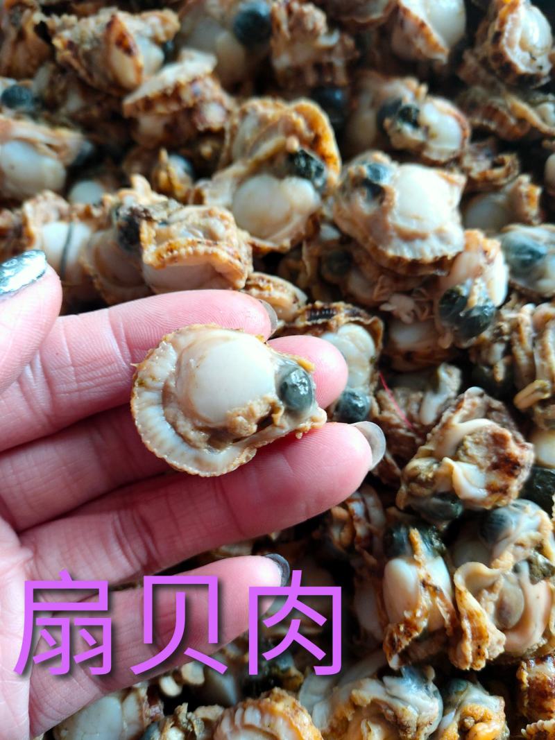 扇贝肉原汁扇贝肉无冰衣冷冻的都有可视频看货支持线上