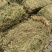 伸筋草，个子，机压包。干货
