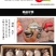 漳州特级水仙花种球盆栽室内水培水养四季花种花卉植物冬季大