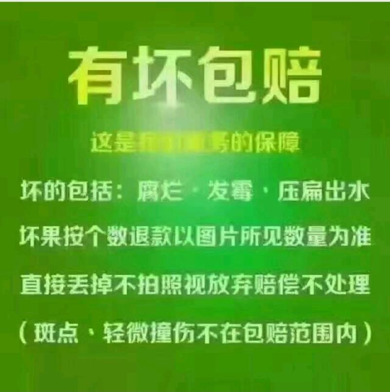 【产地直供】陕西眉县徐香猕猴桃小果支持一件代发