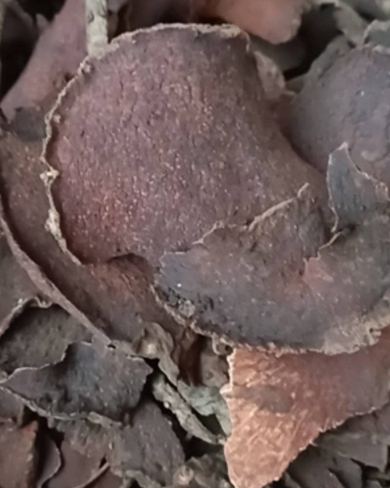 血三七朱砂莲红药子正品薯莨中药材薯良500g