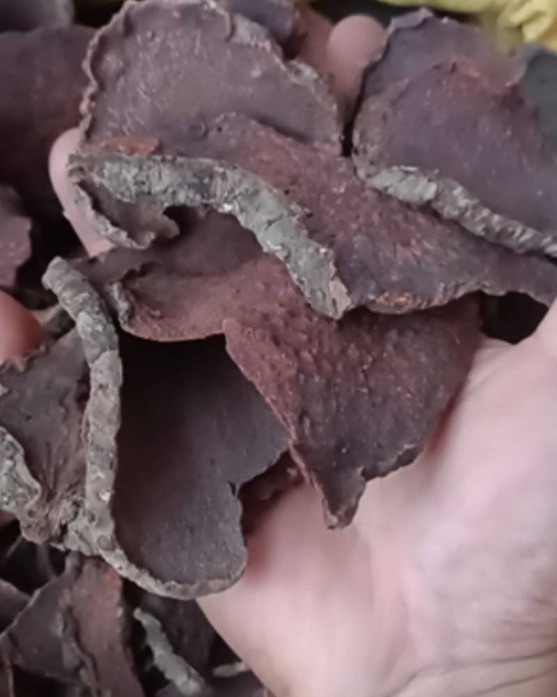 血三七朱砂莲红药子正品薯莨中药材薯良500g