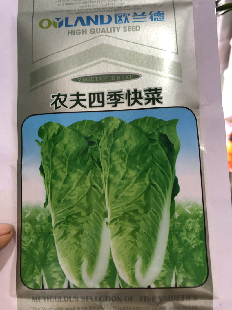 ［推荐］快菜种子，耐热叶色绿，耐薯性强，生长速度快