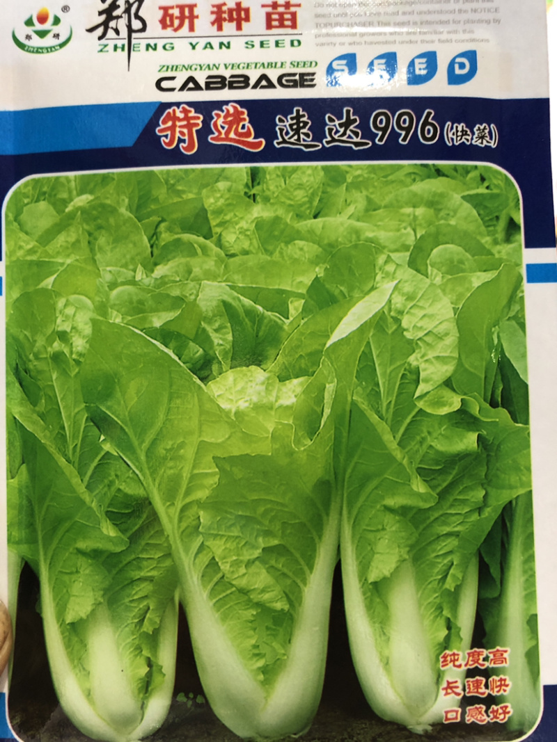 ［推荐］快菜种子，耐热叶色绿，耐薯性强，生长速度快