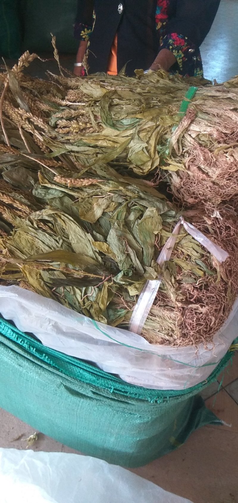 见血清干货不多希联系
