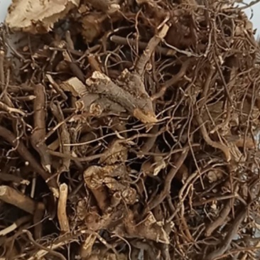 茅梅根茅莓根红梅消三月泡根小叶蛇泡筋拦路蛇