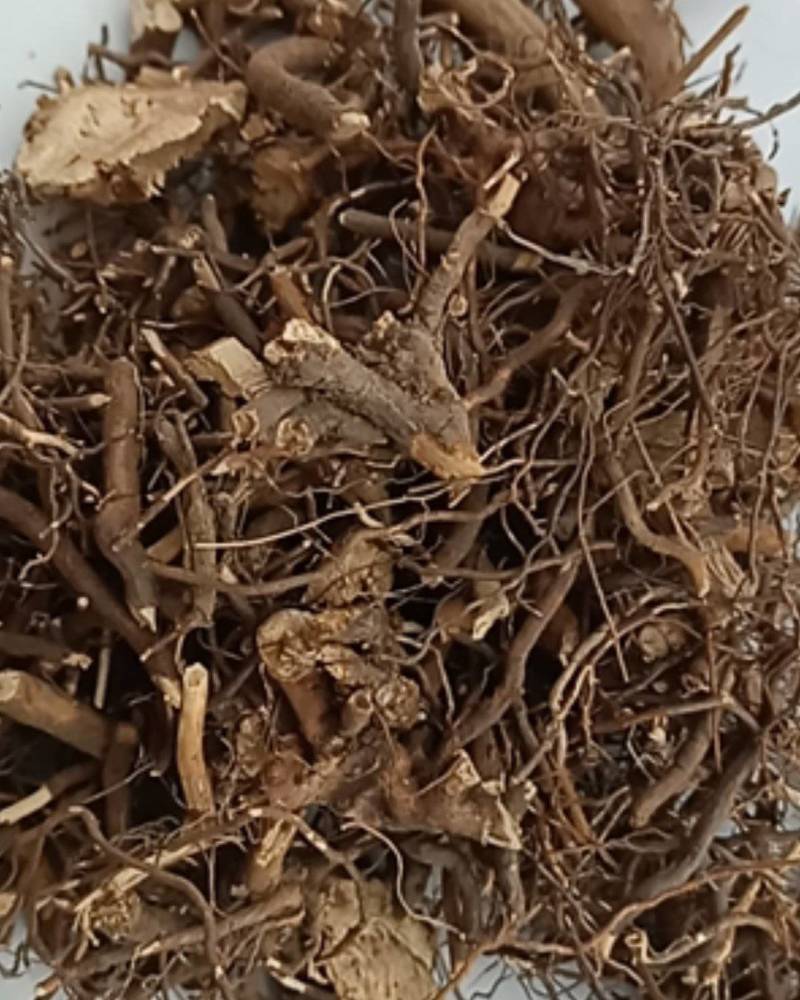 茅梅根茅莓根红梅消三月泡根小叶蛇泡筋拦路蛇