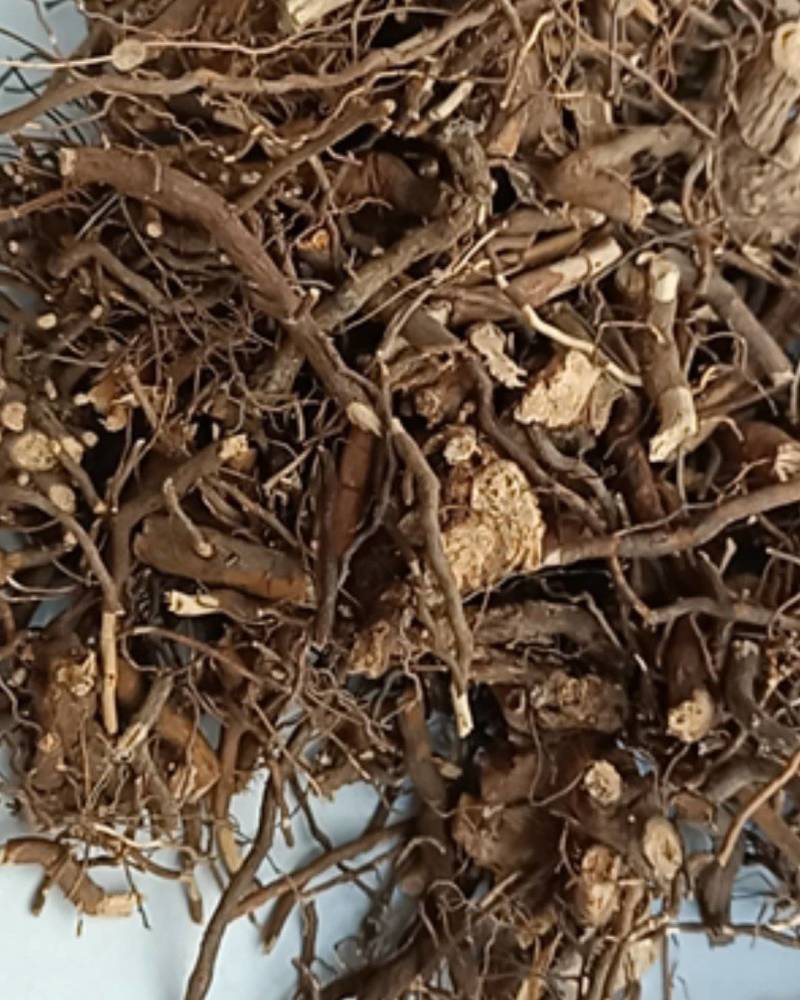 茅梅根茅莓根红梅消三月泡根小叶蛇泡筋拦路蛇