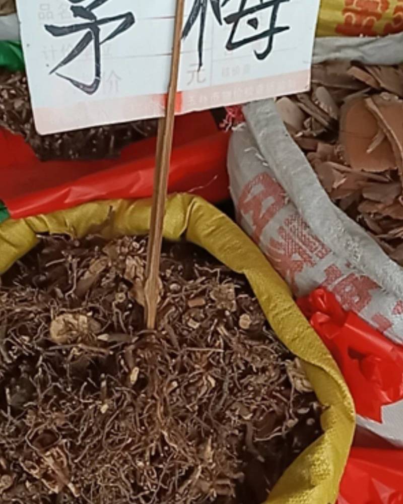 茅梅根茅莓根红梅消三月泡根小叶蛇泡筋拦路蛇