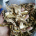牛肝菌八百里伏牛山天然牛肝菌各种规格，产地直销