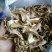 牛肝菌八百里伏牛山天然牛肝菌各种规格，产地直销