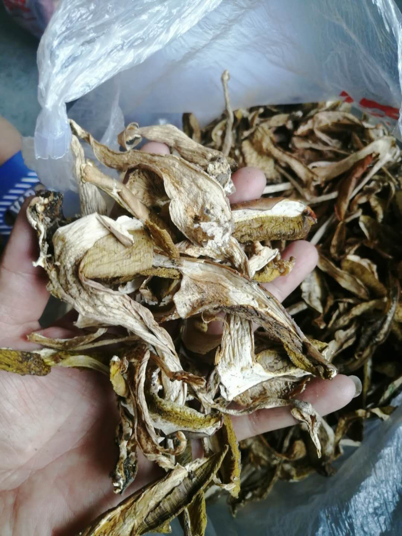 牛肝菌八百里伏牛山天然牛肝菌各种规格，产地直销