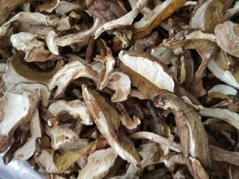 牛肝菌八百里伏牛山天然牛肝菌各种规格，产地直销