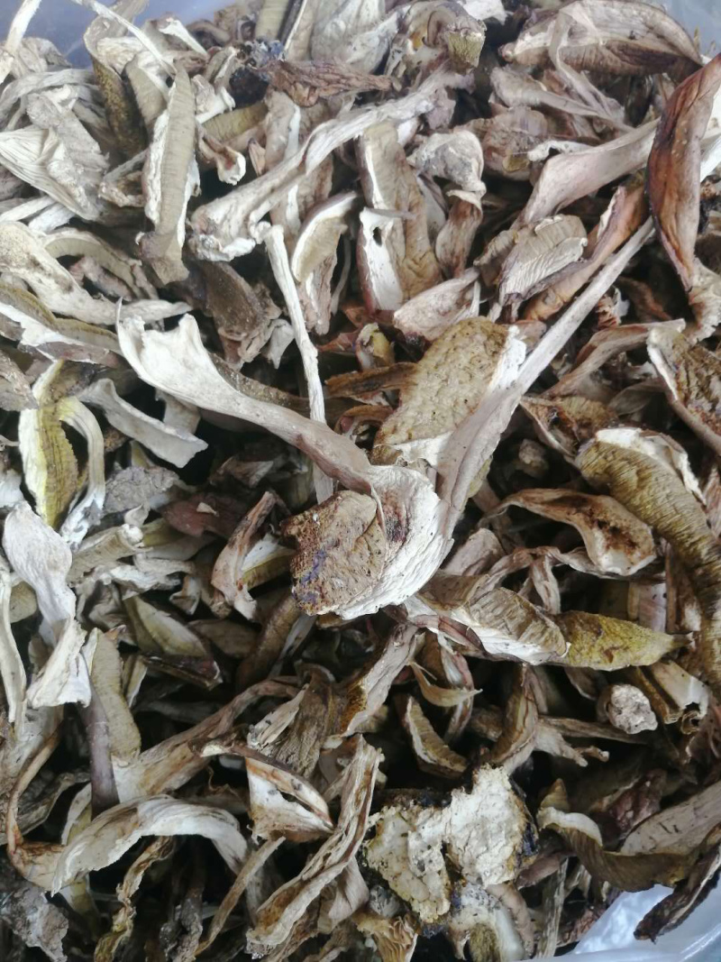 牛肝菌八百里伏牛山天然牛肝菌各种规格，产地直销