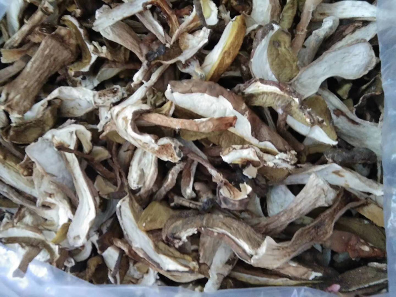 牛肝菌八百里伏牛山天然牛肝菌各种规格，产地直销