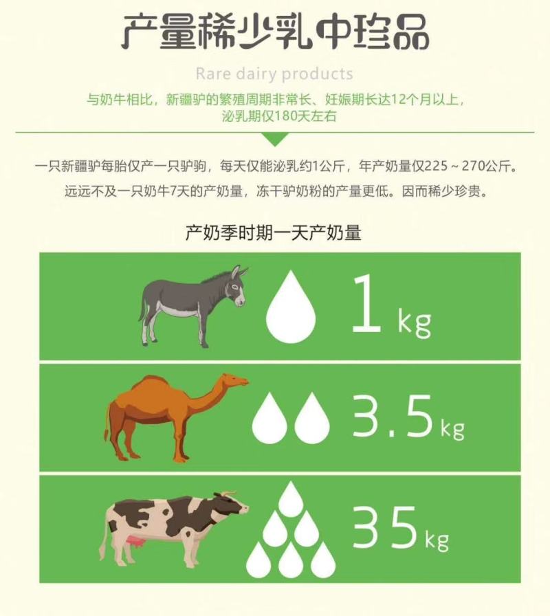 好品质新疆驴妈妈冻干驴奶粉