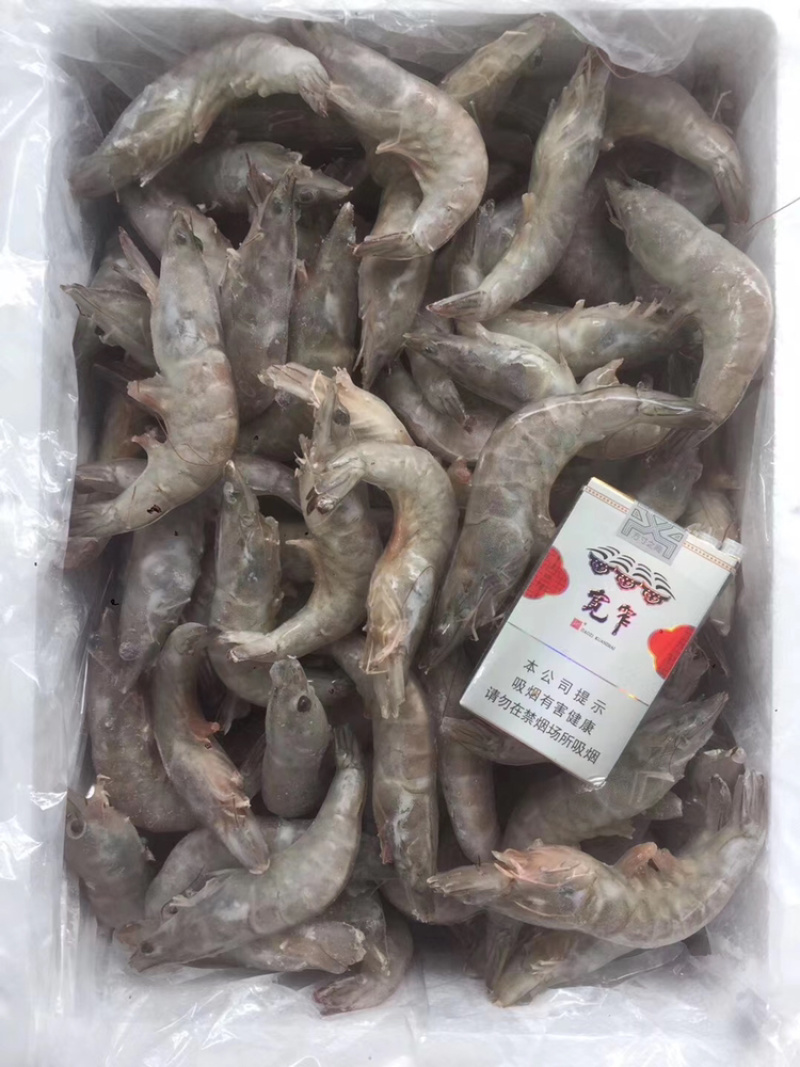 单冻青虾（双箭青虾）10斤装