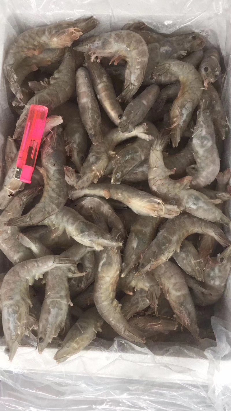 单冻青虾（双箭青虾）10斤装