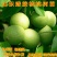 核桃树苗嫁接苗现挖现发南北方庭院户外种植均可