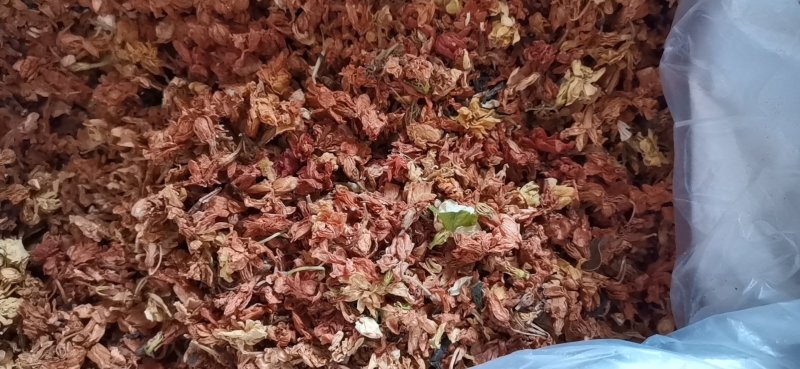 罗汉果花茶