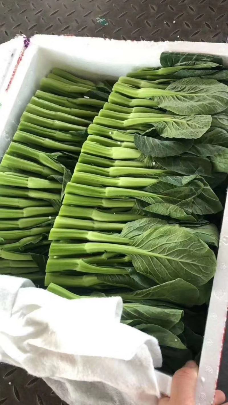 本地叶菜类大量上市，质优价廉