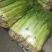 本地叶菜类大量上市，质优价廉