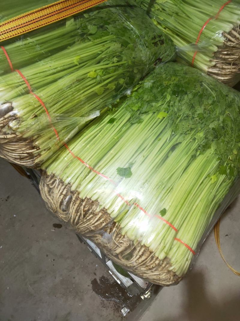 本地叶菜类大量上市，质优价廉