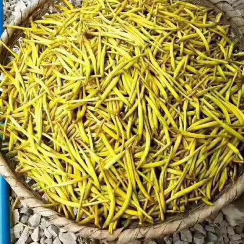 农家黄花菜干货无污染无添加剂安全蔬菜
