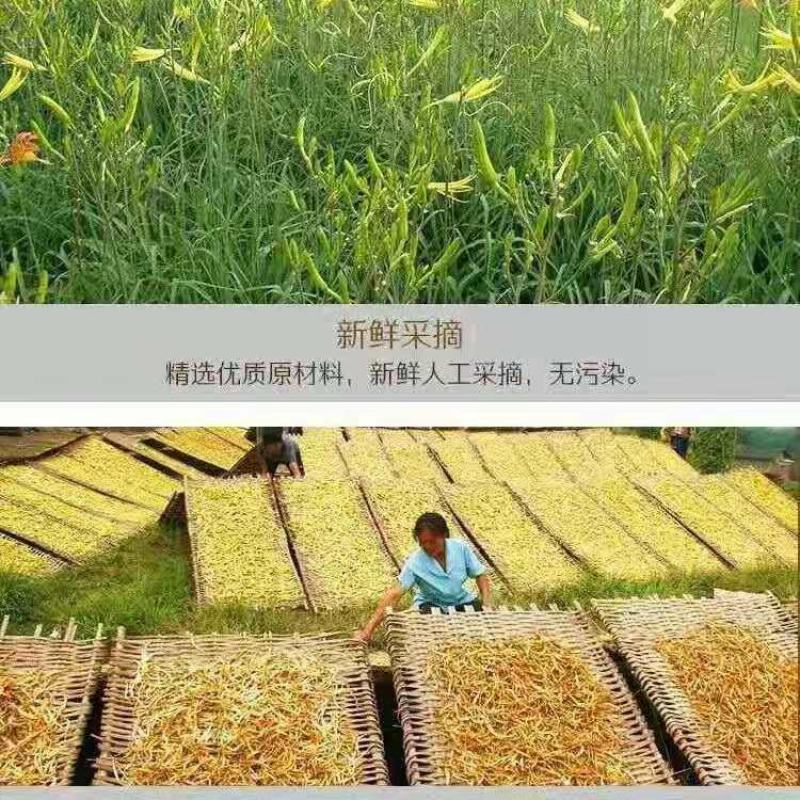 农家黄花菜干货无污染无添加剂安全蔬菜