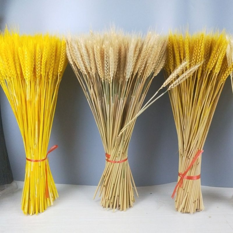 麦穗干花仿真花批发零售包邮