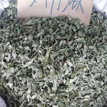 新货罗布麻，罗布麻叶，罗布麻批发加零售
