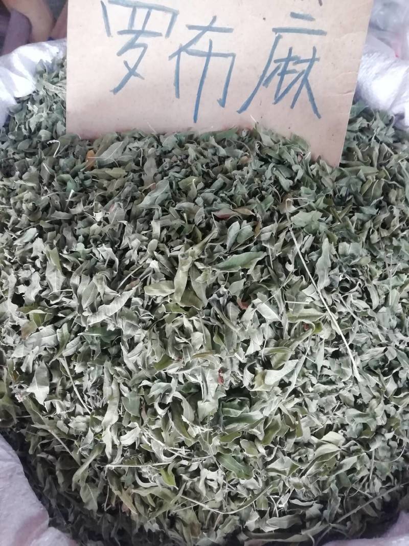 新货罗布麻，罗布麻叶，罗布麻批发加零售