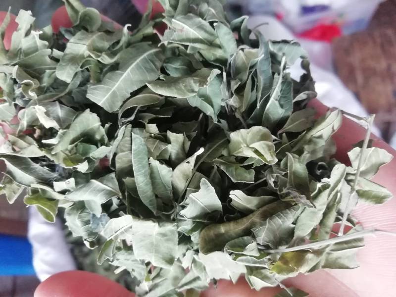 新货罗布麻，罗布麻叶，罗布麻批发加零售