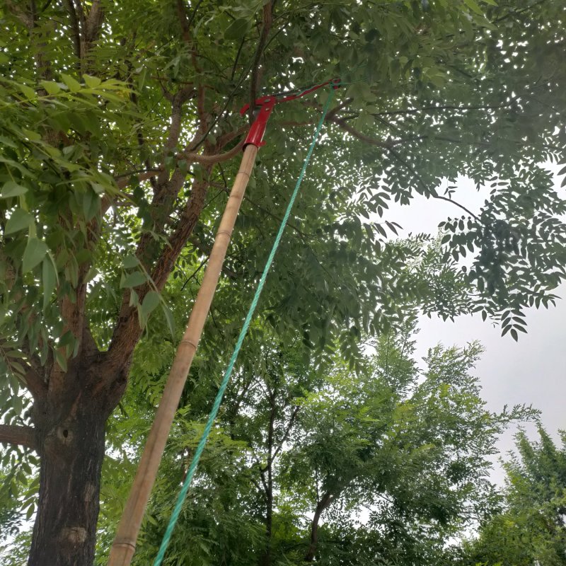 包邮高空剪避免高空作业摘果剪包邮省力高枝剪