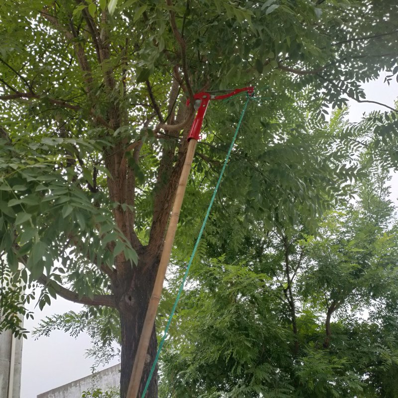 包邮高空剪避免高空作业摘果剪包邮省力高枝剪