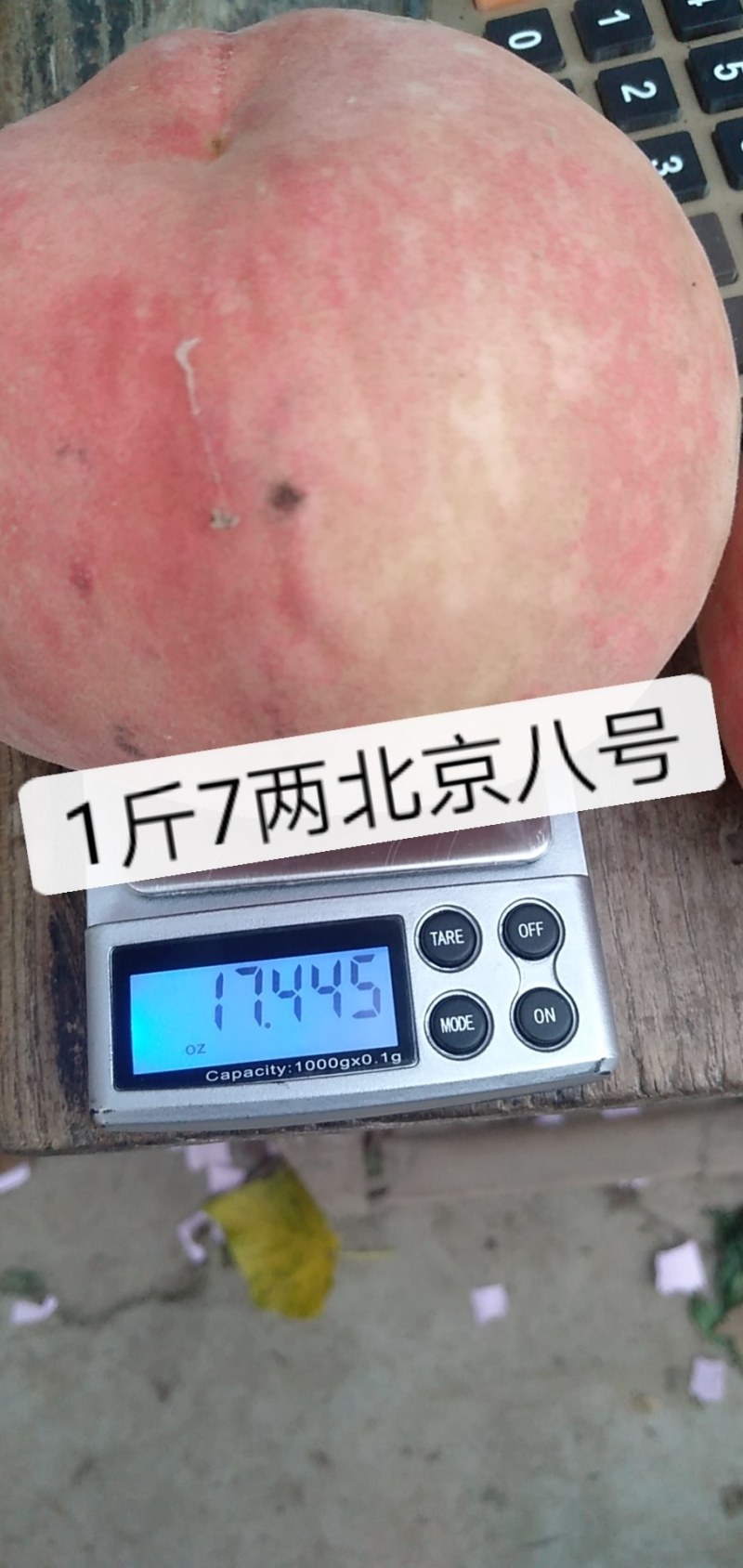 【精品映霜红毛桃】毛桃～80起步，口感甜脆，量大从