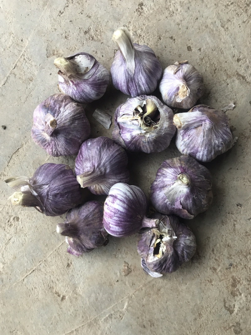 云南红皮大蒜，多掰蒜，独头蒜