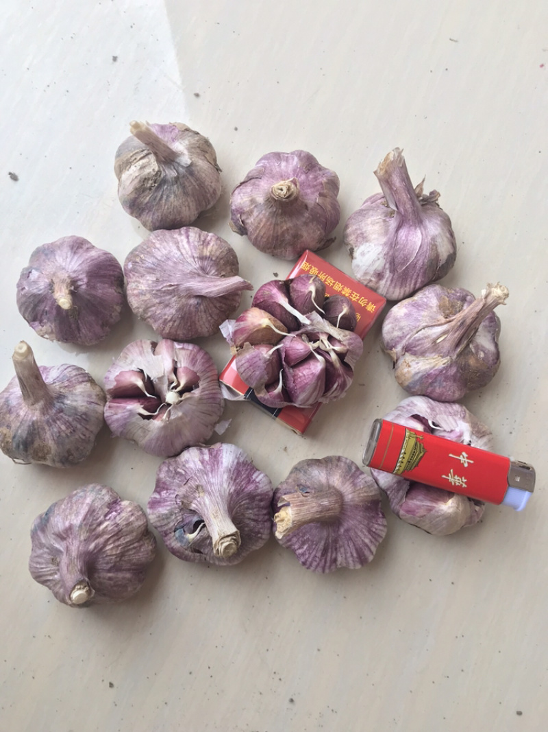 云南红皮大蒜，多掰蒜，独头蒜