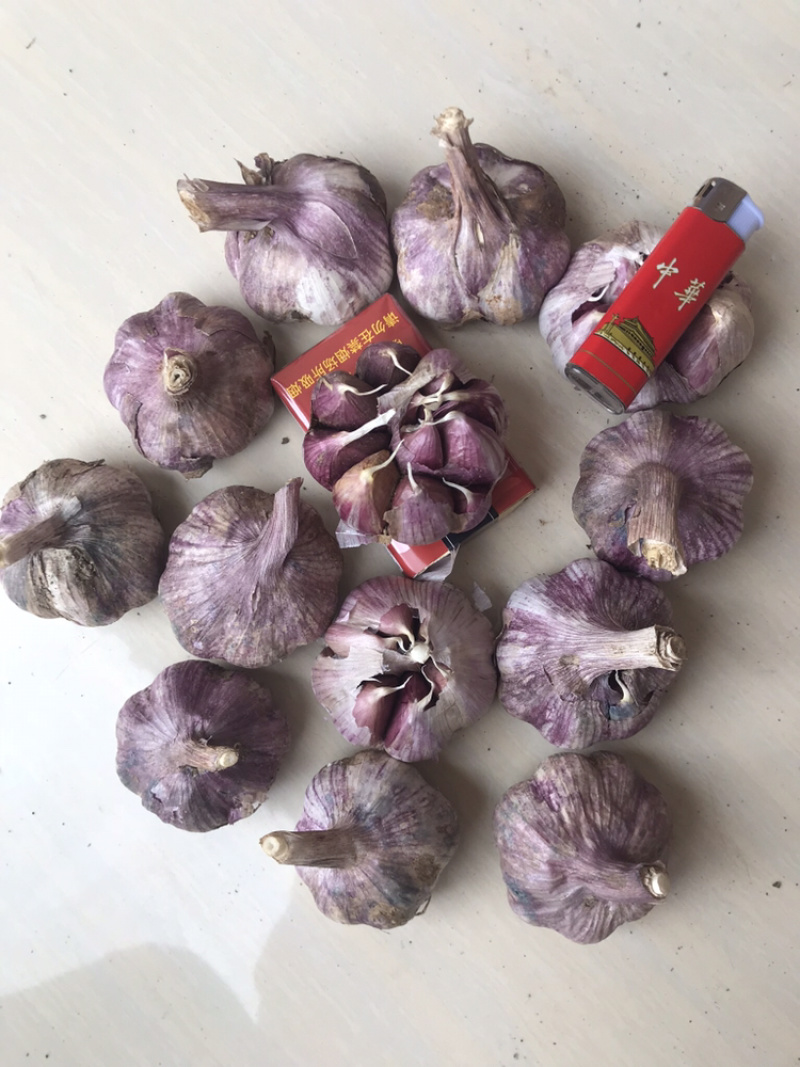 云南红皮大蒜，多掰蒜，独头蒜
