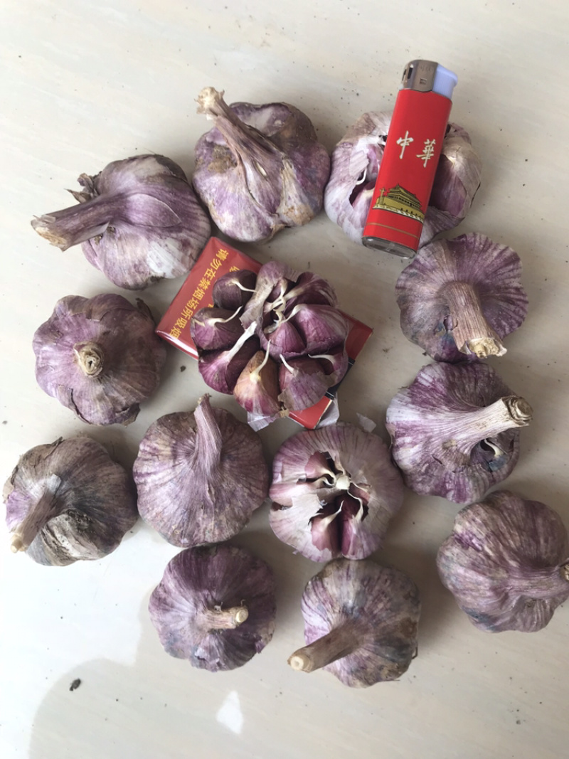 云南红皮大蒜，多掰蒜，独头蒜