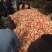 三丰山地水蜜桃山地桃8月5日以后供货口感特甜表光好