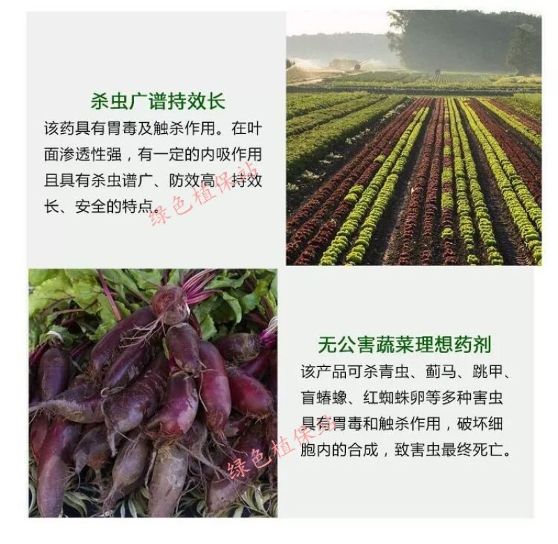 虫螨腈虱螨脲夜蛾菜青虫钻心虫食心虫杀虫剂